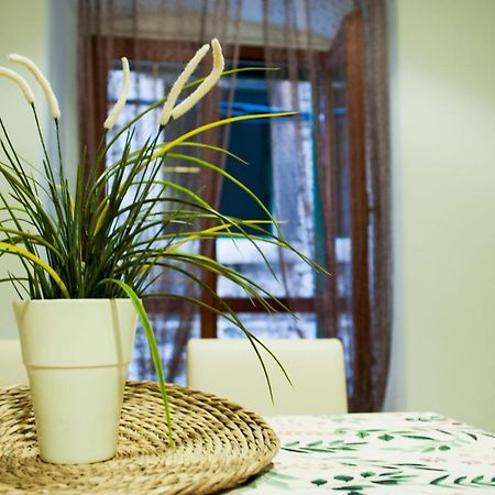 Apartman Flower Šibenik Buitenkant foto